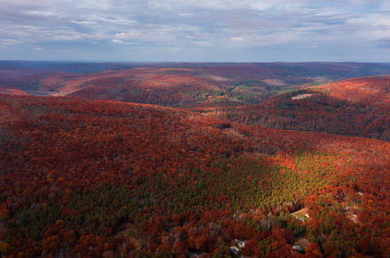 Aerial view of Mountain forest in au