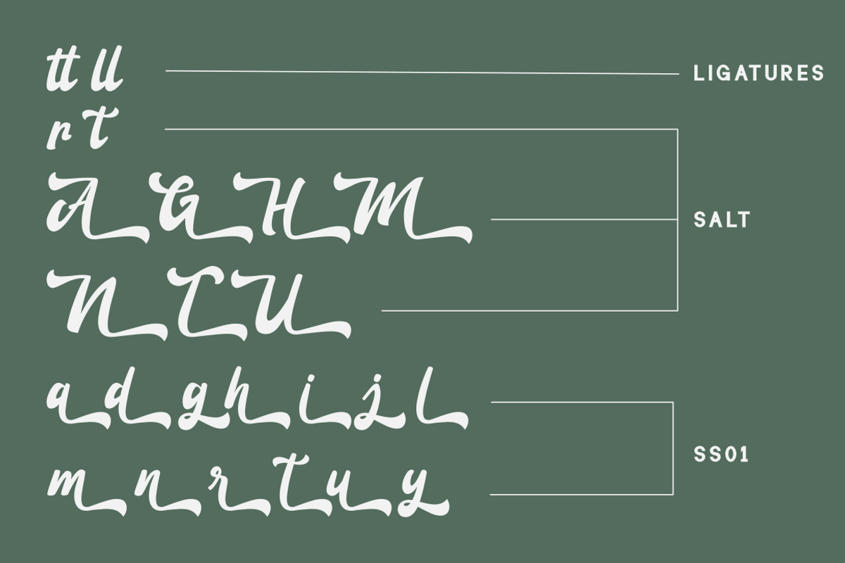 Anteng Jatisari - Script Font, a Handwritten Font by GFRcreative (Photo 7 of 9)