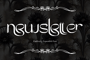 Endlessly Expanded - Ligature Sans, a Sans Serif Font by 177Studio (Thumbnail 6 of 8)