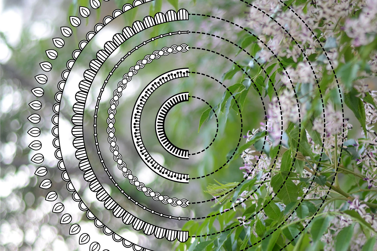 110 Floral Brushes for Illustrator preview 6