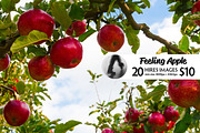 Feeling Apple, a Templates & Theme by Feelings (Thumbnail 1 of 5)
