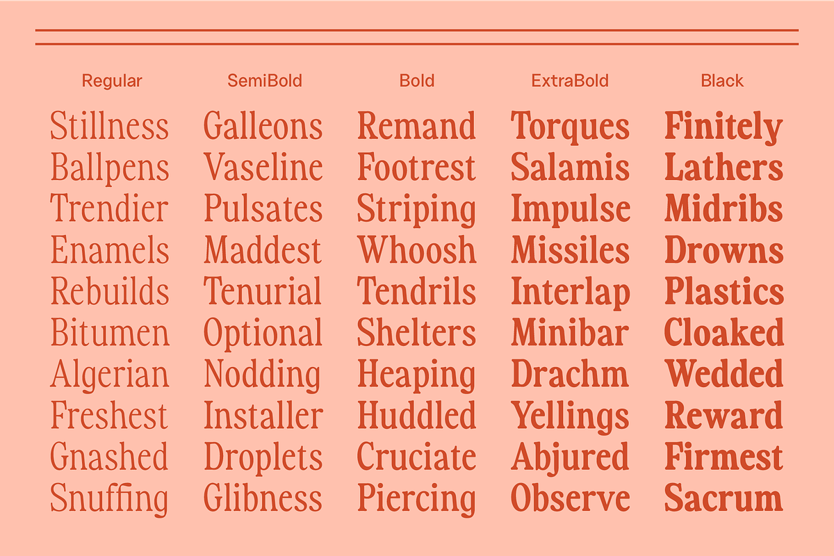 Fiyona Retro Variable Font, a Serif Font by That That Creative (Photo 3 of 24)