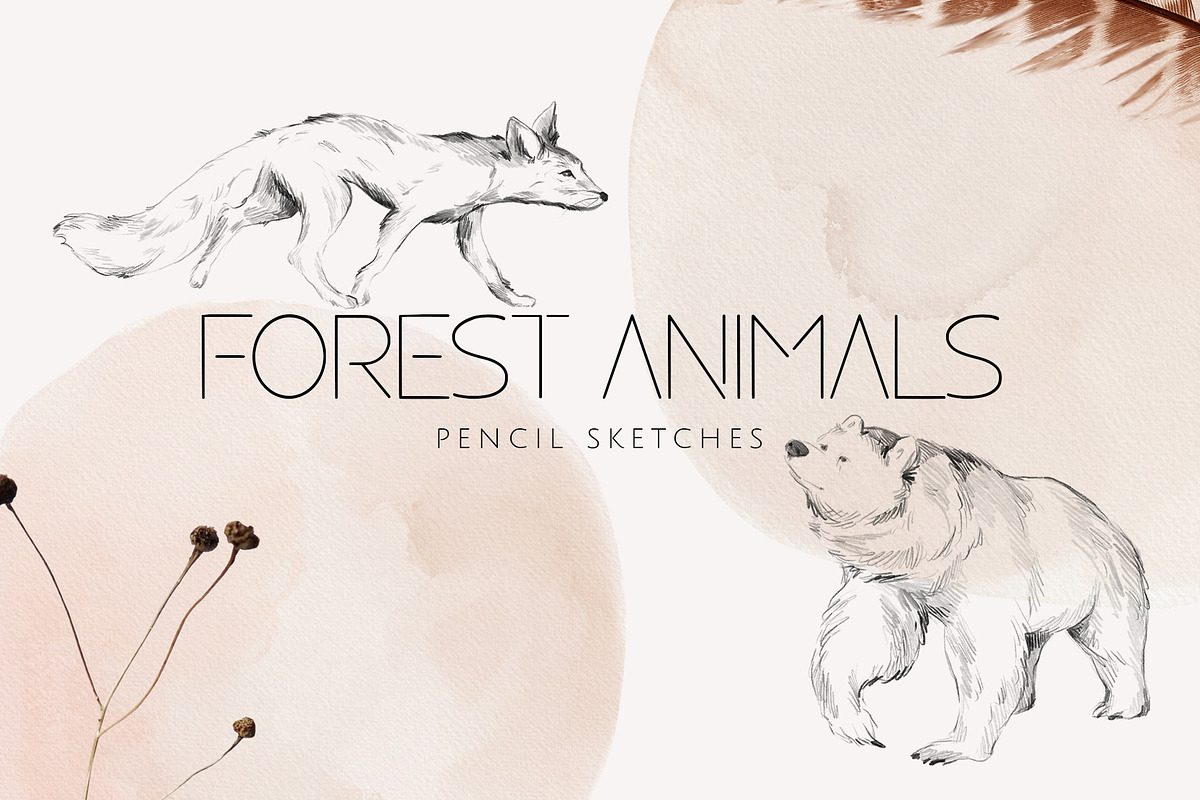 Charming forest - BUNDLE 4 in 1, a Decorative Illustration by Yuliia Lashevska (Photo 20 of 26)