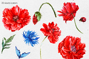 Red Poppy Watercolor Clipart, an Illustration by Depiano (Thumbnail 6 of 9)