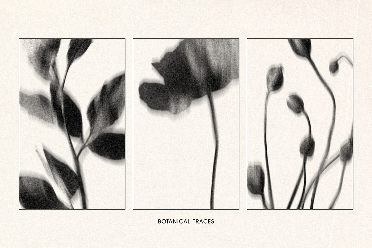 Botanical Traces: Blurred Floral PNG, an Object Graphic by Dina Mae (Photo 3 of 14)