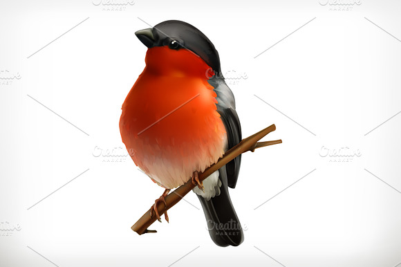 Bullfinch Vector Icon