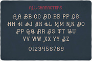 Vintage Fonts Bundle, a Font by VozzyStock (Thumbnail 17 of 29)