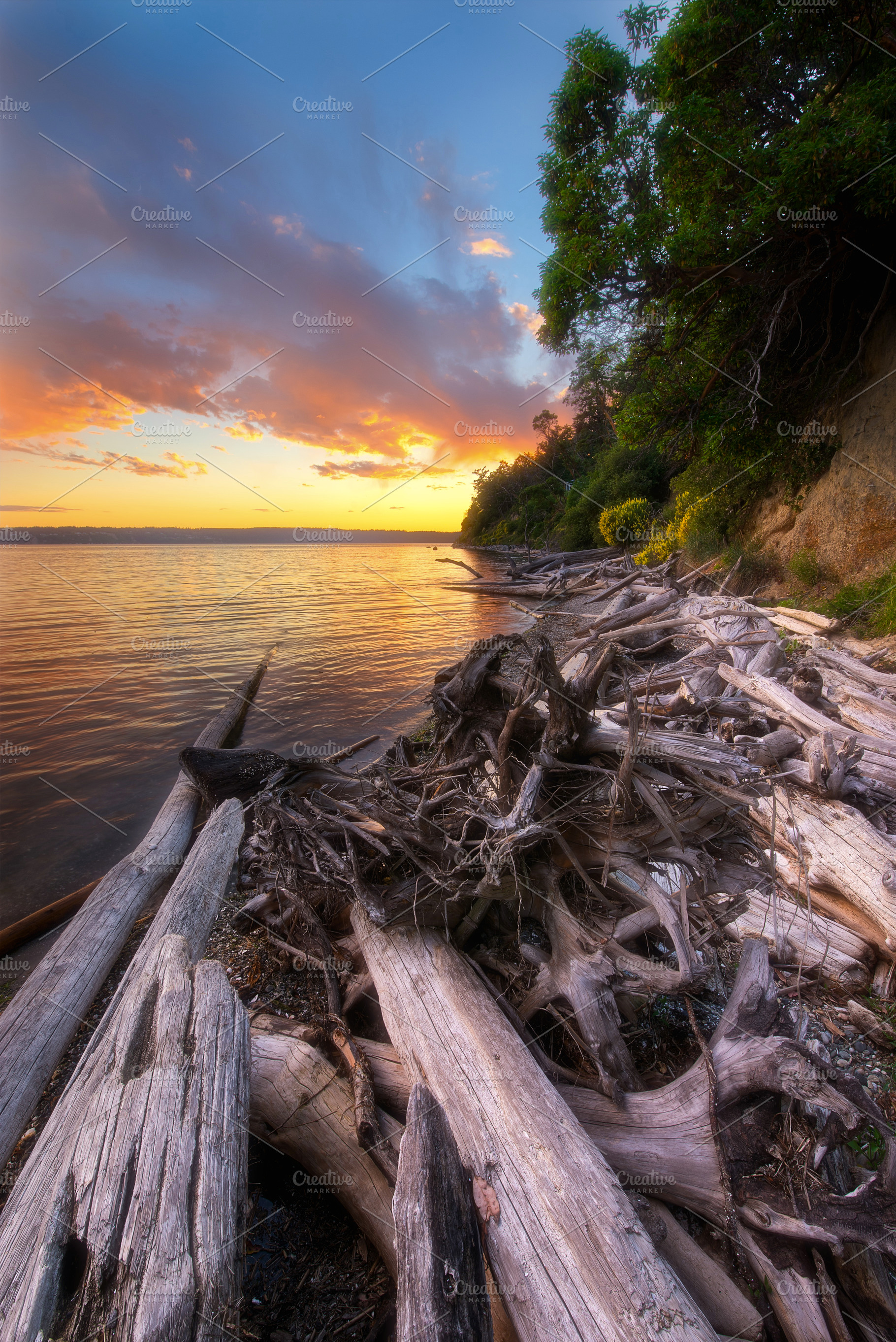 Camano island state park containing beach, landscape, and nature, a Nature Photo by Always Wanderlust