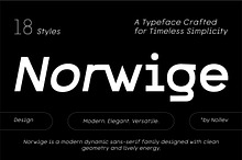 Norwige – Modern Geometric Sans