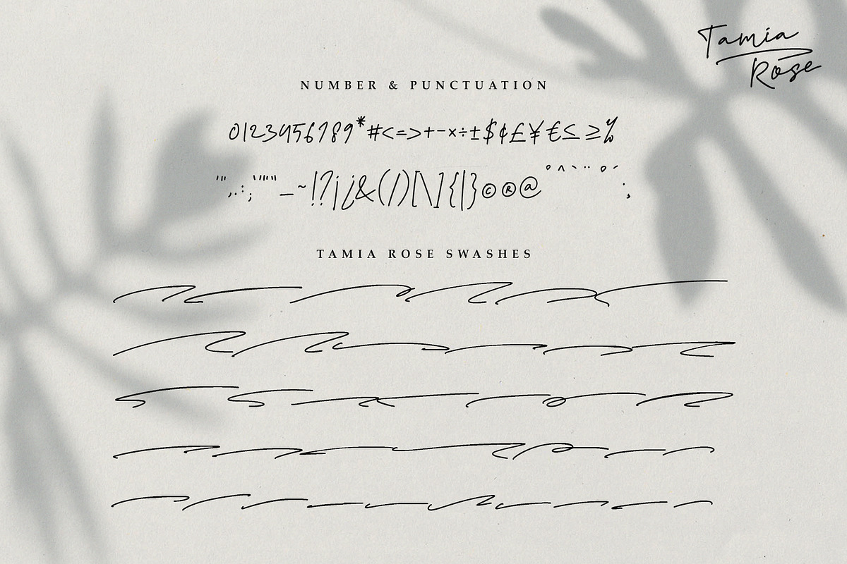 Tamia Rose Signature - Extra Swashes, a Script Font by Signatoro (Photo 12 of 12)