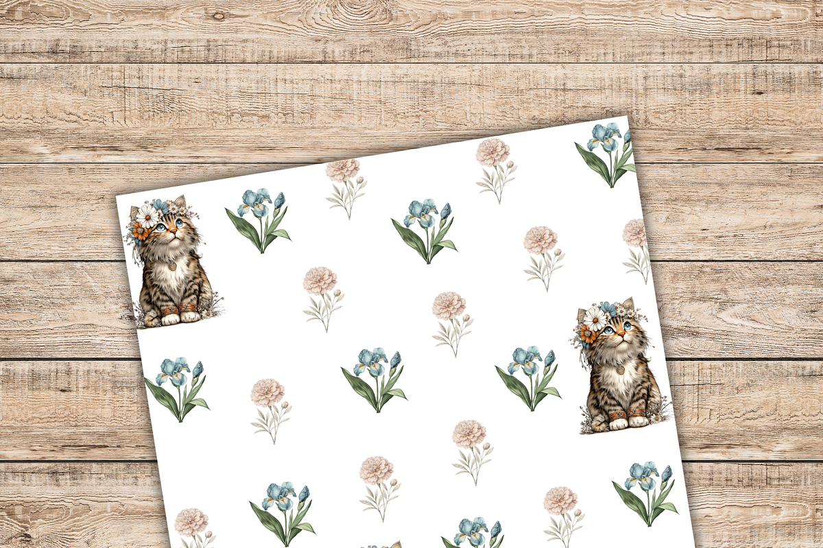 Cute cat digital paper pack,, a Pattern Graphic by Shabbypaperboutique (Photo 3 of 5)