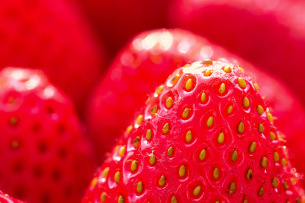 Vivid macro photo of strawberry, a Food & Drink Photo by oksanatukane