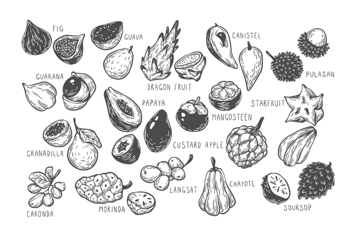 Exotic Fruits, Illustrations., a Food Illustration by Olga Olmix (Photo 2 of 8)