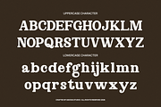 Norvane Decorative Serif Font, a Serif Font by Vadovastd (Thumbnail 2 of 9)