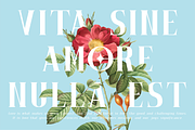 Garjita - Elegant font family, a Serif Font by ghozai studio (Thumbnail 4 of 10)