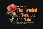 Qlimes modern retro serif font, a Serif Font by Perfectype (Thumbnail 3 of 8)