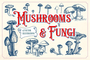 Vintage Mushrooms & Fungi