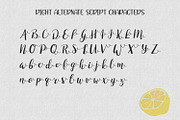 Lemon Zest Script, a Script Font by Kristy Hatswell (Thumbnail 4 of 6)