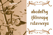 Still City Experimental serif font, a Slab Serif Font by Yelloo Fish (Thumbnail 5 of 12)