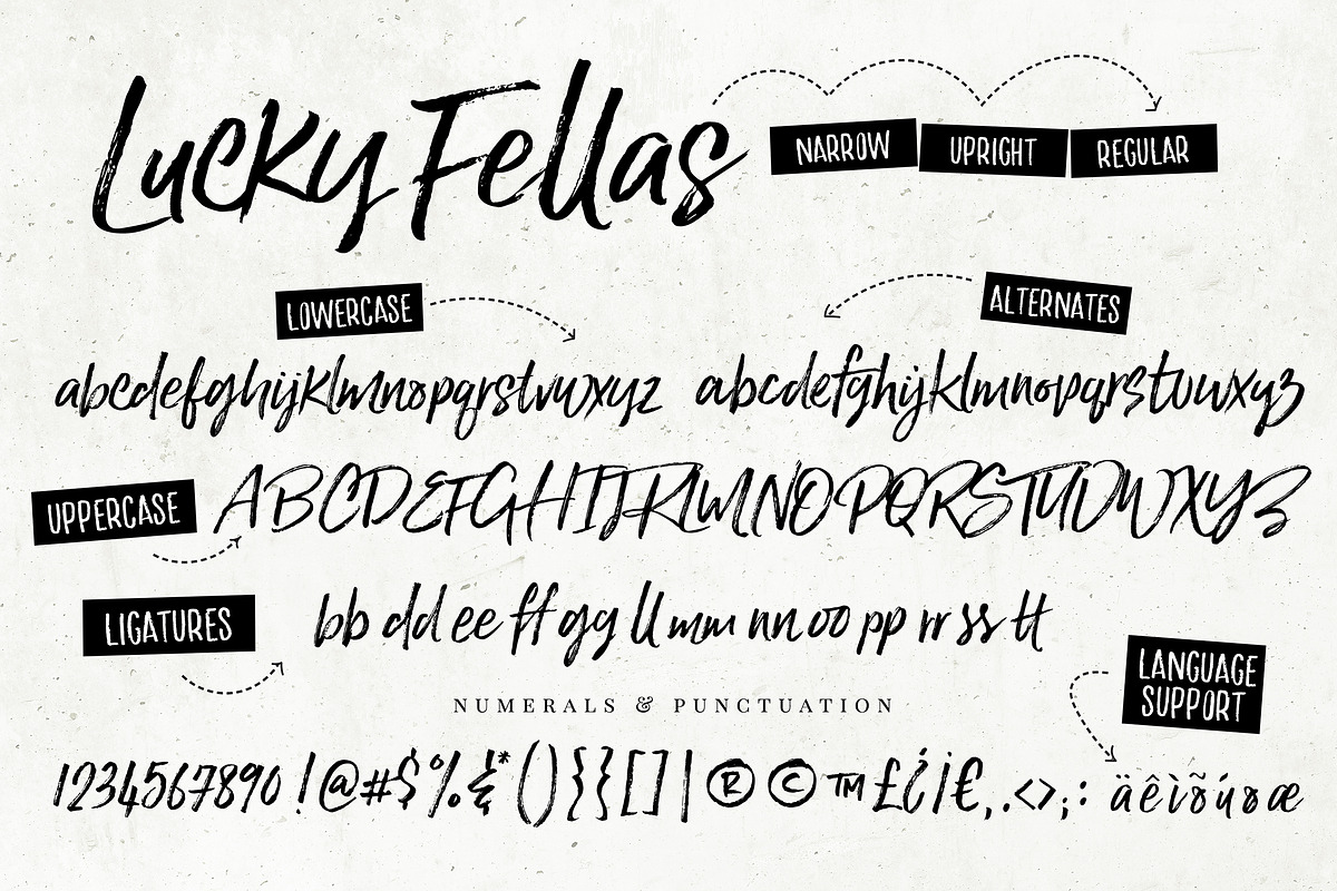 Lucky Fellas Brush Script + Extras, a Script Font by Nicky Laatz (Photo 15 of 16)