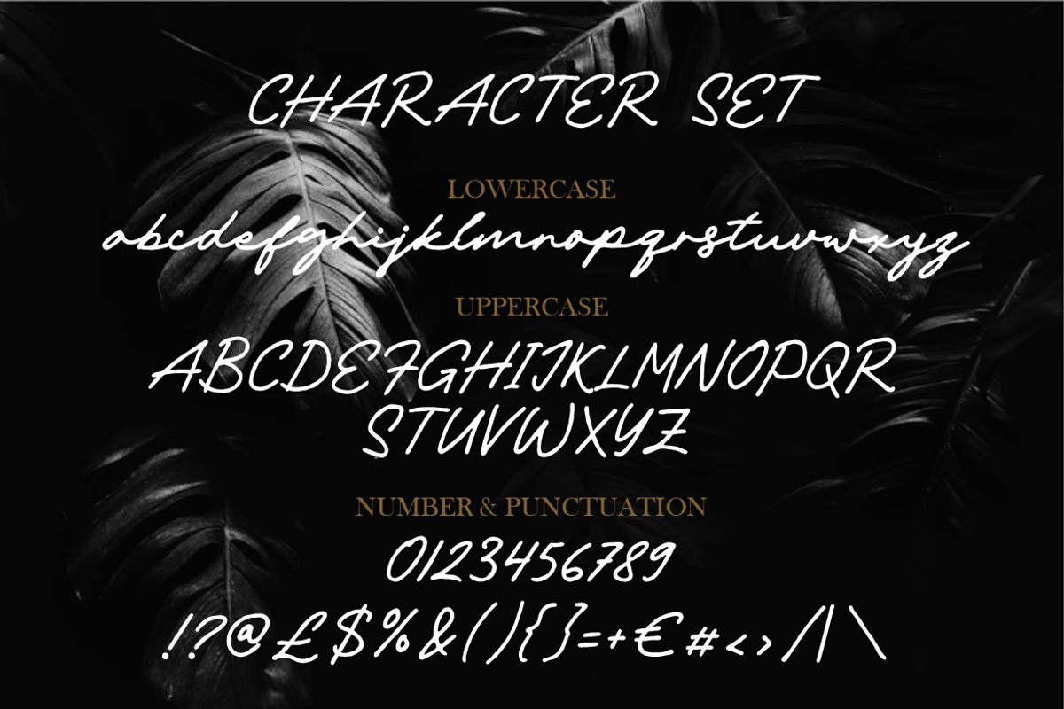 Ravonna Touch Luxury Signature Font, a Script Font by PutraCetol Studio (Photo 5 of 5)