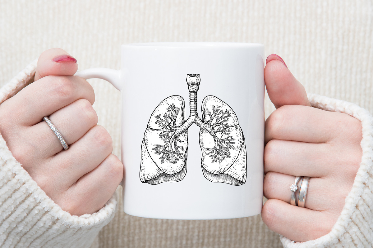 Antique Anatomy Overlays Set, an Illustration by Sublimation Artist (Photo 5 of 6)