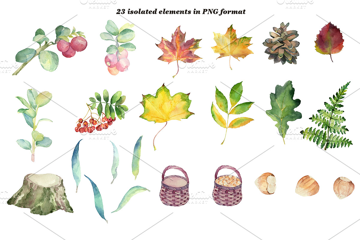 Watercolor forest animals, an Animal Illustration by Watercolor arts (Photo 3 of 6)