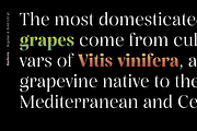 Rasbern — 18 Fonts, a Serif Font by Nasir Udin (Thumbnail 6 of 17)