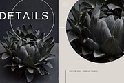 Dark Floral & Mineral Stock Photos, a Nature Photo by Tale.Haus (Thumbnail 15 of 17)