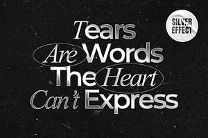 Silver Text & Logo Effect, a Layer Style Add-On by Design Squad