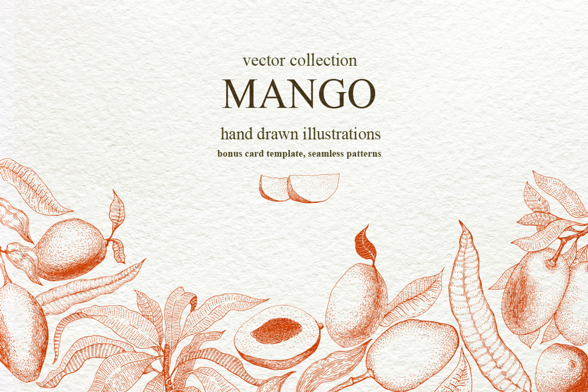 Мango Vector Collection, an Illustration by Lubov Illustrations Shop (Photo 1 of 7)