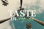 Tropica Gardens - Font Trio (+LOGOS), a Script Font by Sarid Ezra (Thumbnail 6 of 19)