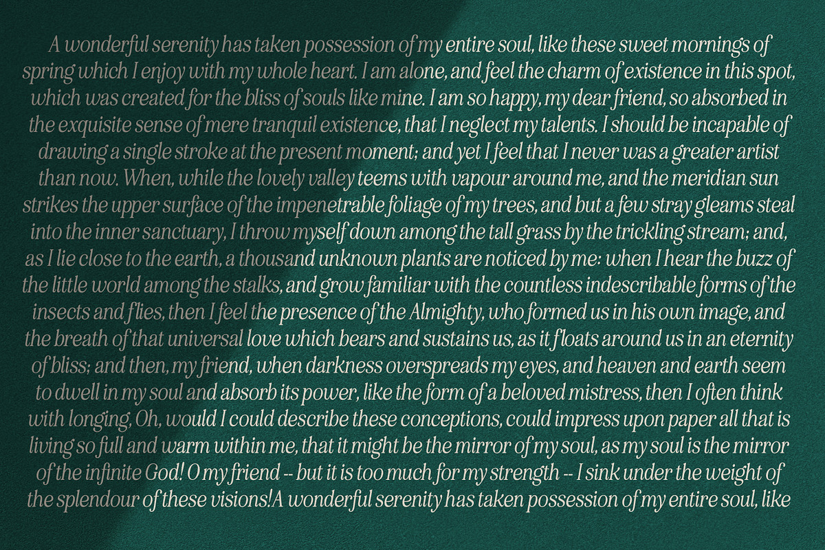 Eighties Comeback Serif (70 fonts), a Serif Font by Nicky Laatz (Photo 38 of 47)