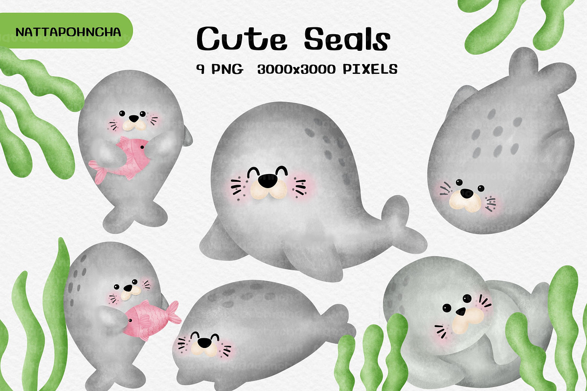 Cute Seal Clipart PNG Set, an Animal Illustration by Nattapohncha (Photo 1 of 3)
