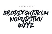 Oxygen Script Font + Extentions, a Script Font by kavoon (Thumbnail 3 of 10)