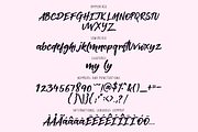 Mutual Feelings Font, a Script Font by theinkaffair (Thumbnail 7 of 7)