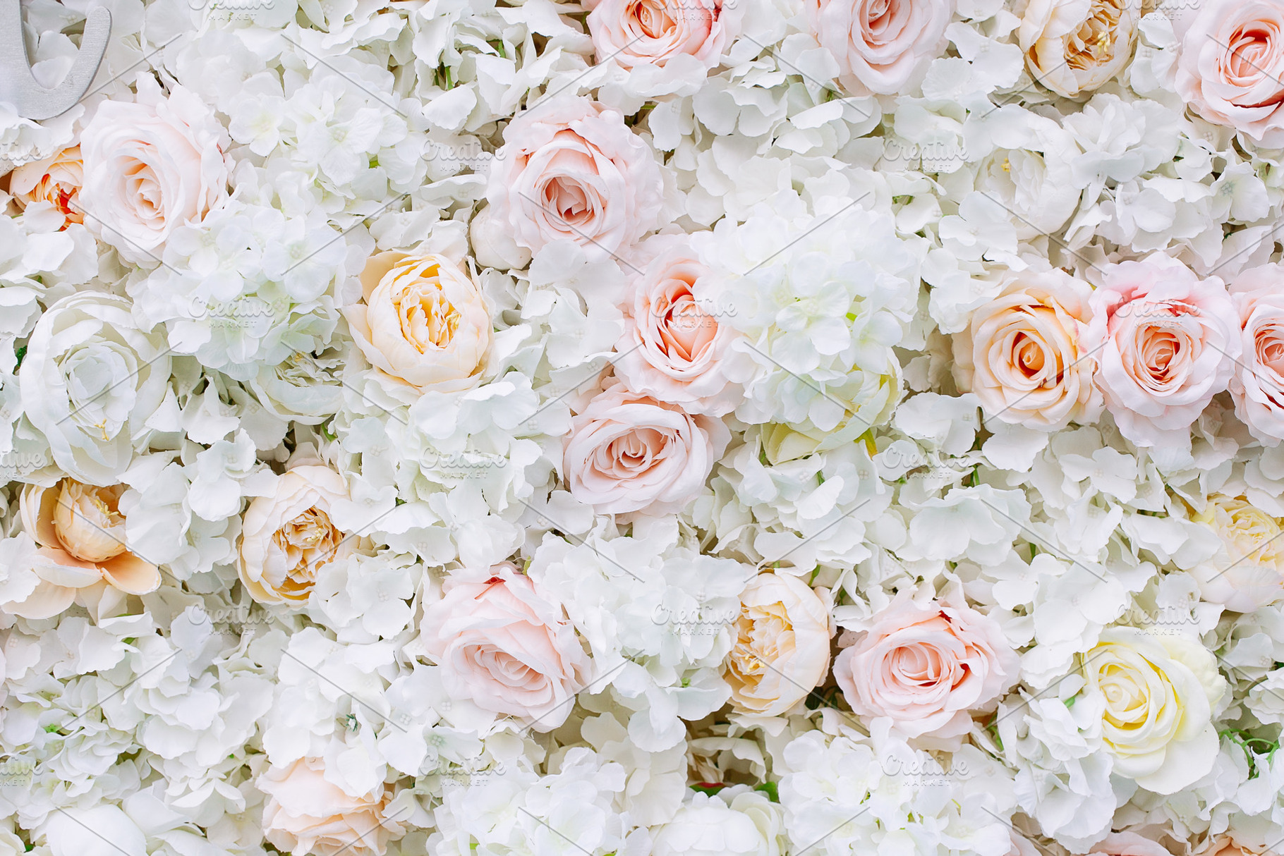 Flowers wall background white roses stock photo containing abstract and art, a Nature Photo by telnyaw