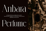 Queny Elegant Serif Font, a Serif Font by Perfectype (Thumbnail 4 of 8)