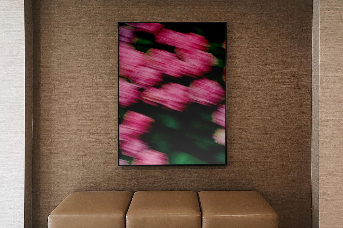 FlowerBloom 4 - Fine Art Photography, an Abstract Photo by Marie Dumora (Photo 4 of 4)