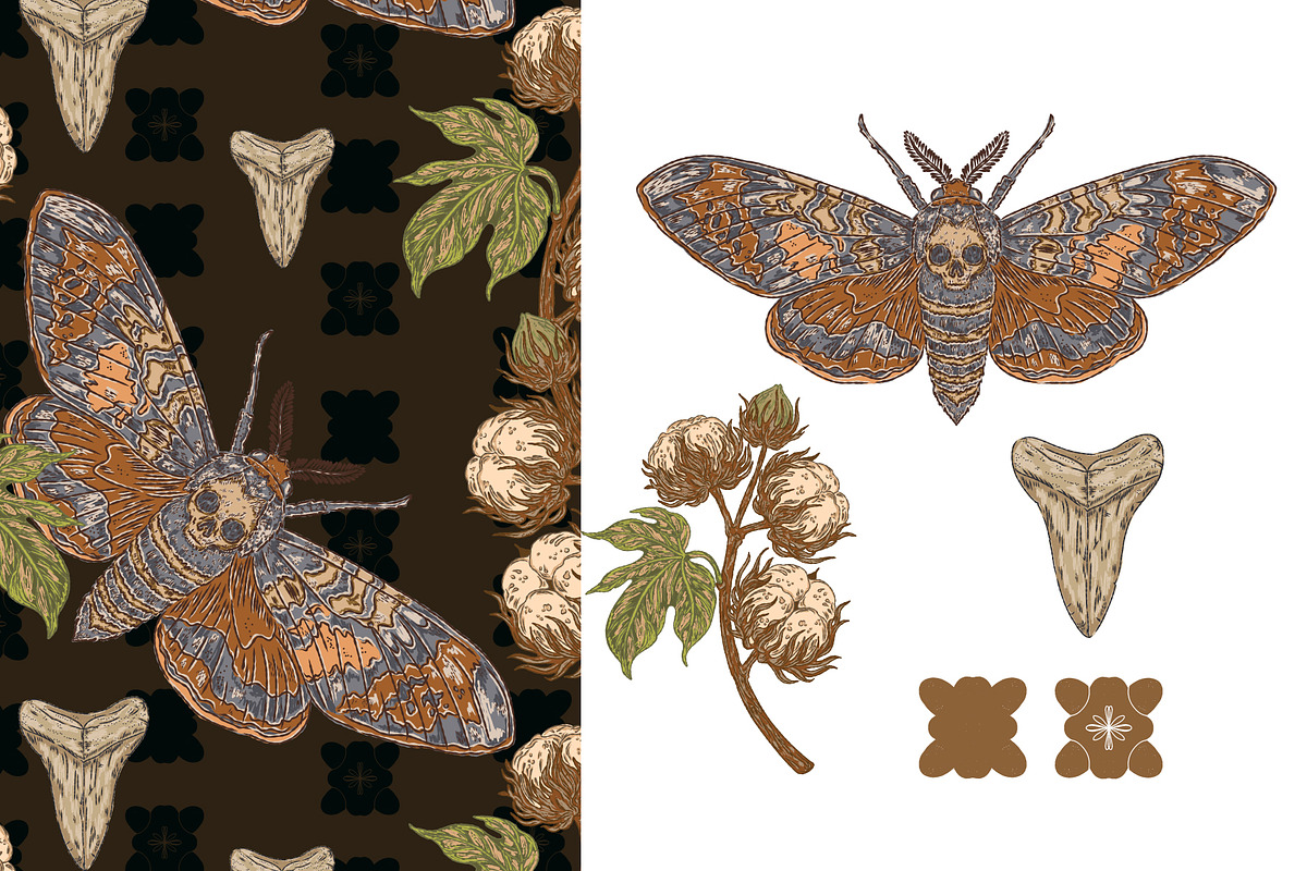 Hawk Moth, Cotton and Shark Tooth, a Pattern Graphic by NayaChu (Photo 9 of 10)