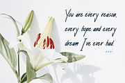 Shelley - Elegant Handwritten Script, a Script Font by Luna Shop (Thumbnail 6 of 6)