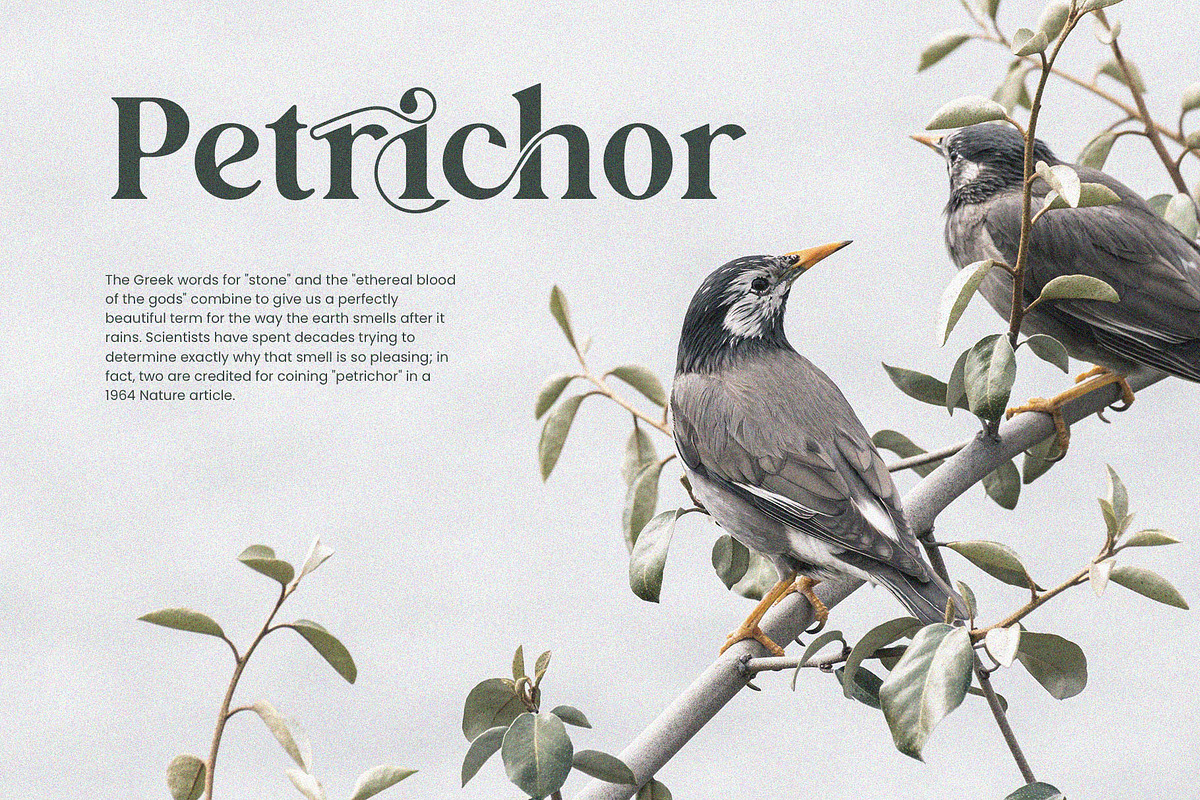 Bakilda Histori Serif Font, a Serif Font by Graphicxell (Photo 6 of 18)