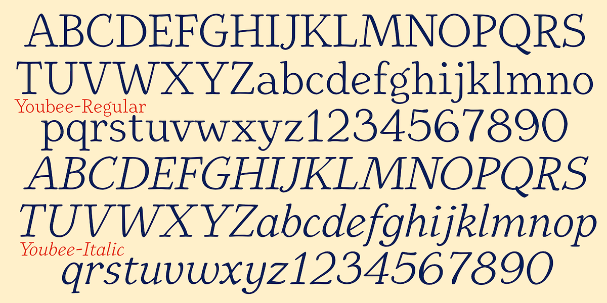 Youbee, a Serif Font by Ingrimayne Type (Photo 10 of 12)