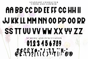 Happy Bride, a Script Font by FreshTypeINK (Thumbnail 5 of 6)