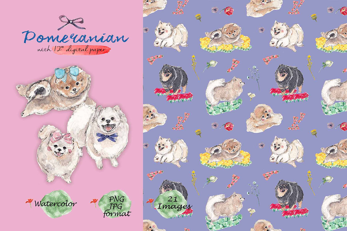 Pomeranian Clipart Digital Paper, an Animal Illustration by VianneArt (Photo 1 of 7)