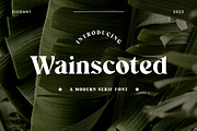 Wainscoted Modern Serif Font, a Serif Font by UICreative (Thumbnail 1 of 12)