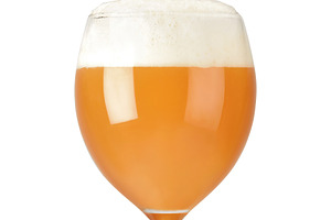 Glass of beer isolated on white back featuring beer, beery, and light beer