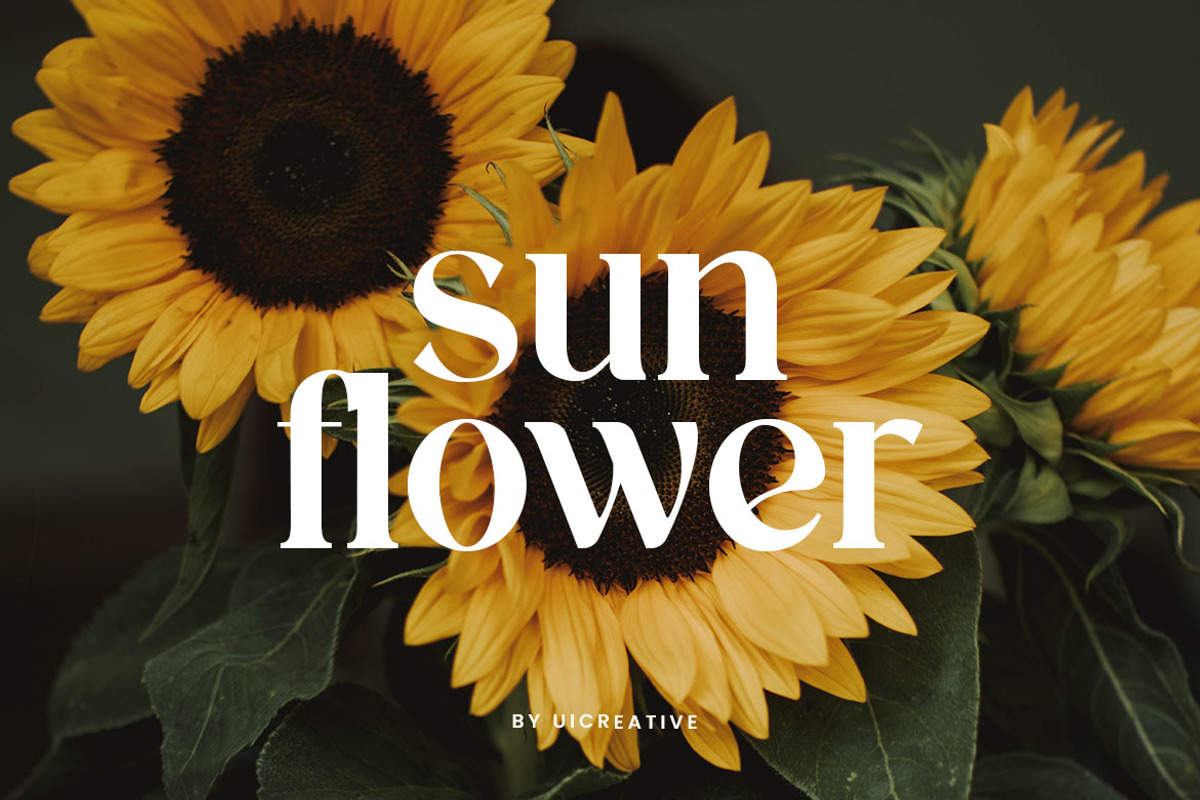 Sophia Francesca Modern Retro Serif, a Serif Font by UICreative (Photo 11 of 12)