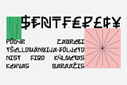 SK Nagot — Modern Decorative Font, a Font by Shriftovik Type Foundry (Thumbnail 8 of 10)