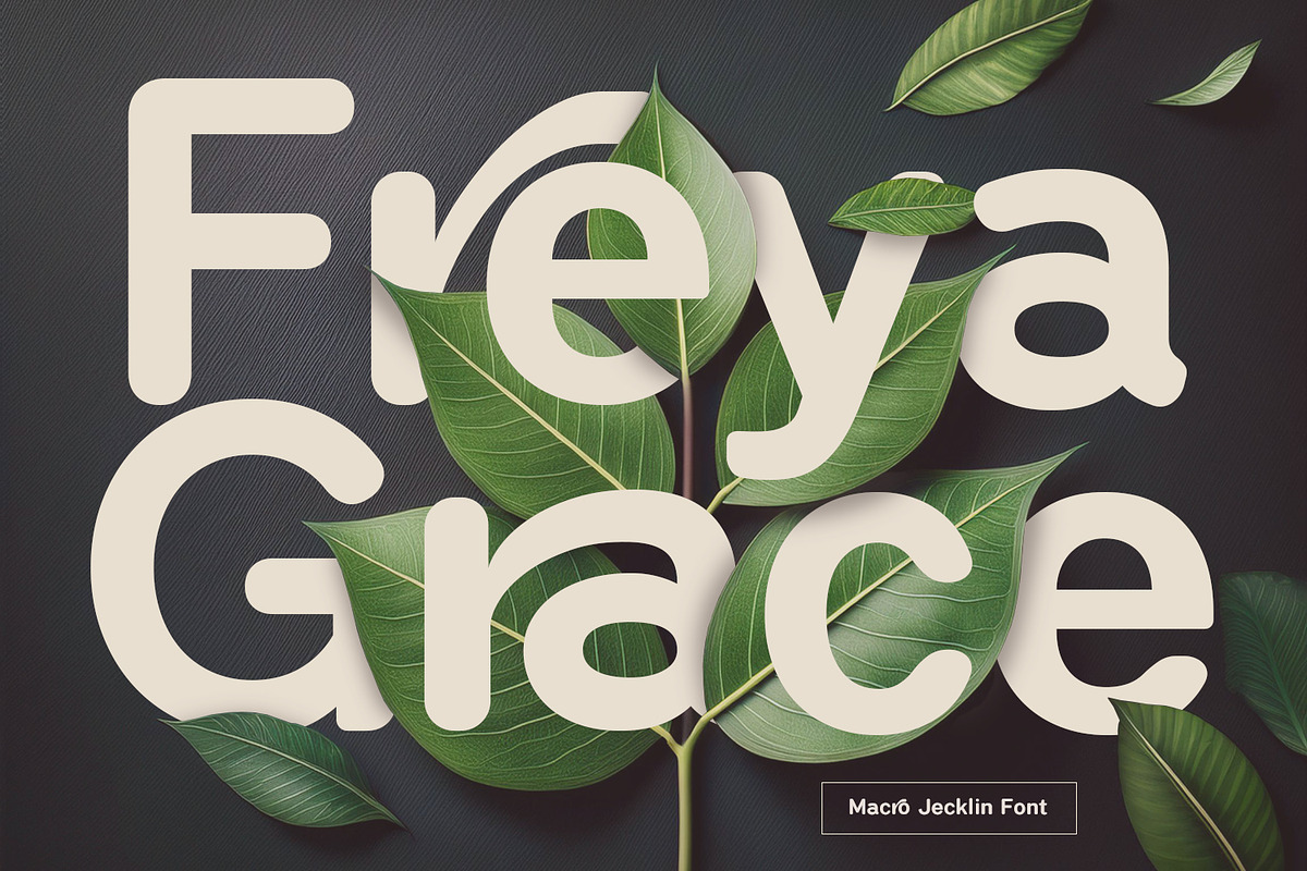 Macro Jecklin Rounded Sans Serif, a Sans Serif Font by Maulana Creative (Photo 1 of 6)